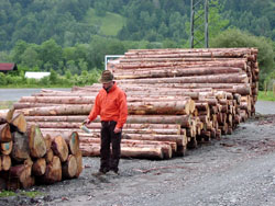 Holzverkauf