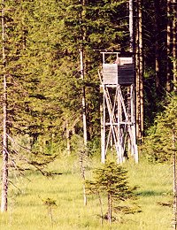 hochsitz