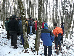 Laubholzpflegeschulung in Murnau-Westried