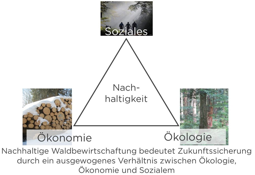 Dreieck