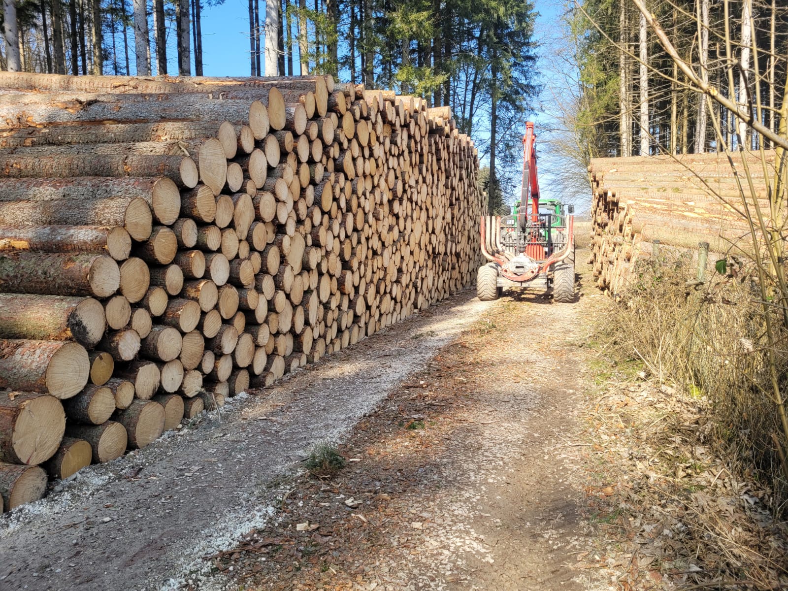 Holzaufnahme