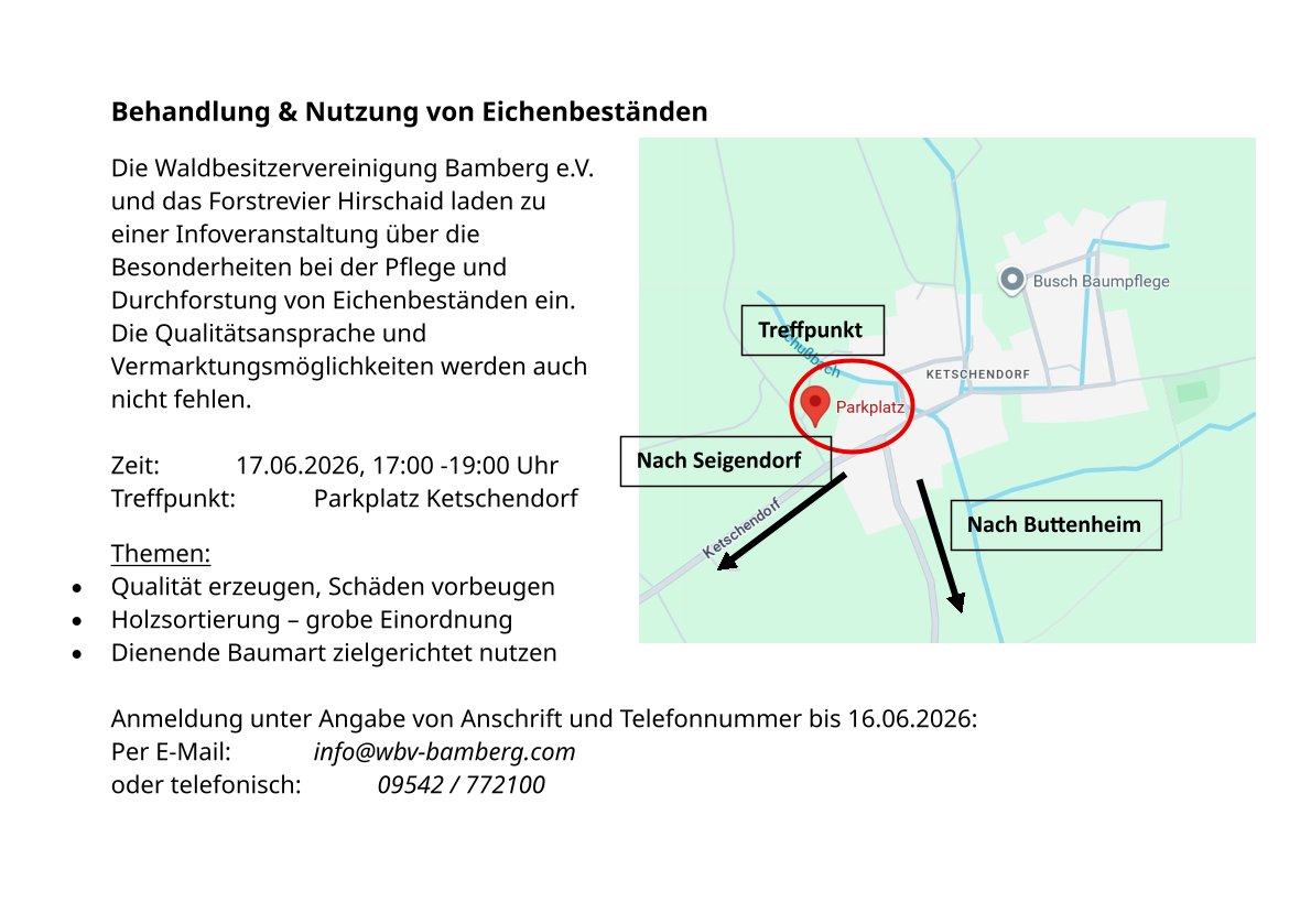 Behandlung Nutzung von Eichenbeständen Veröffentlichung 1