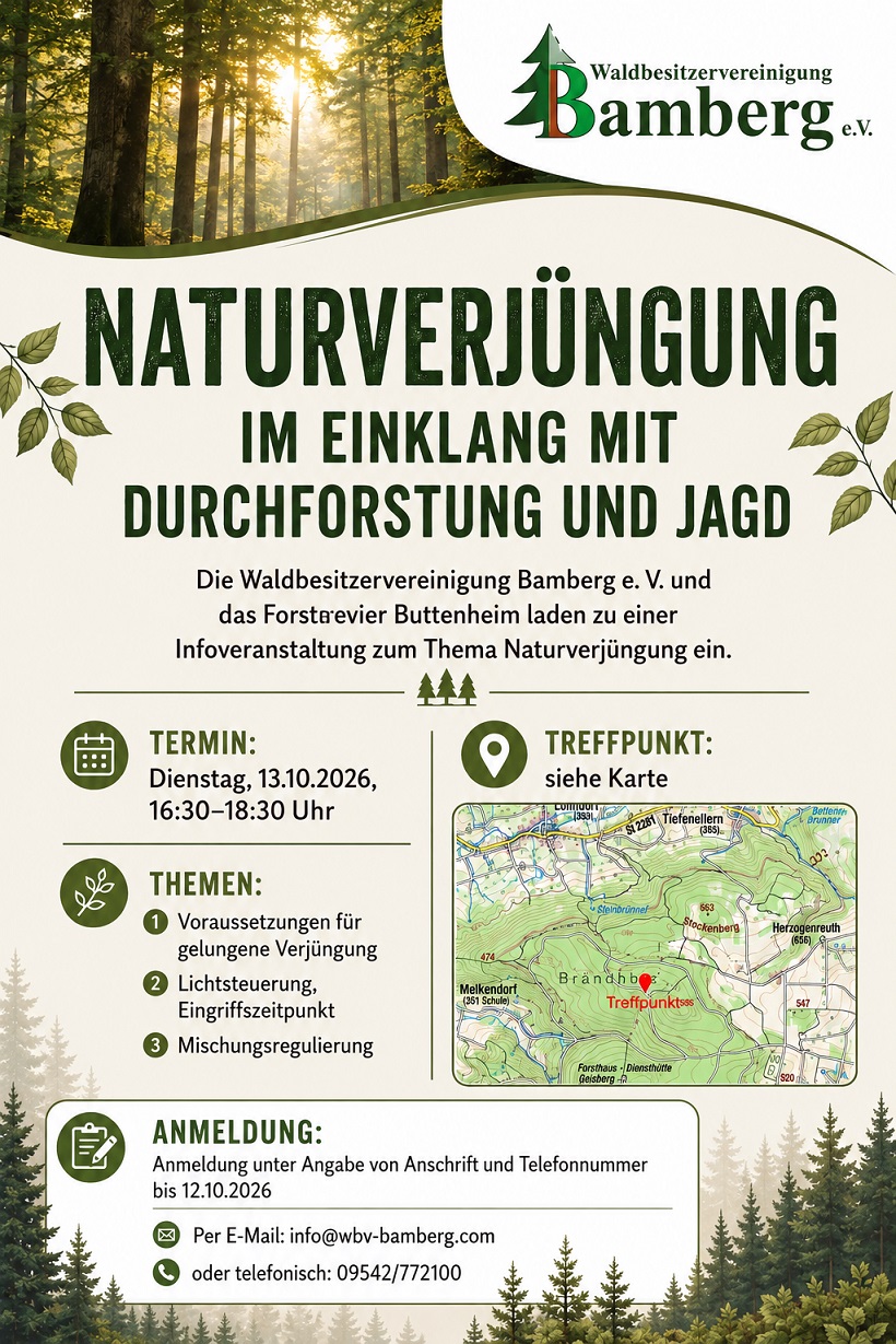 Infoveranstaltung Naturverjüngung