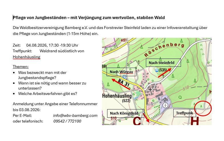Jungbestandspflege