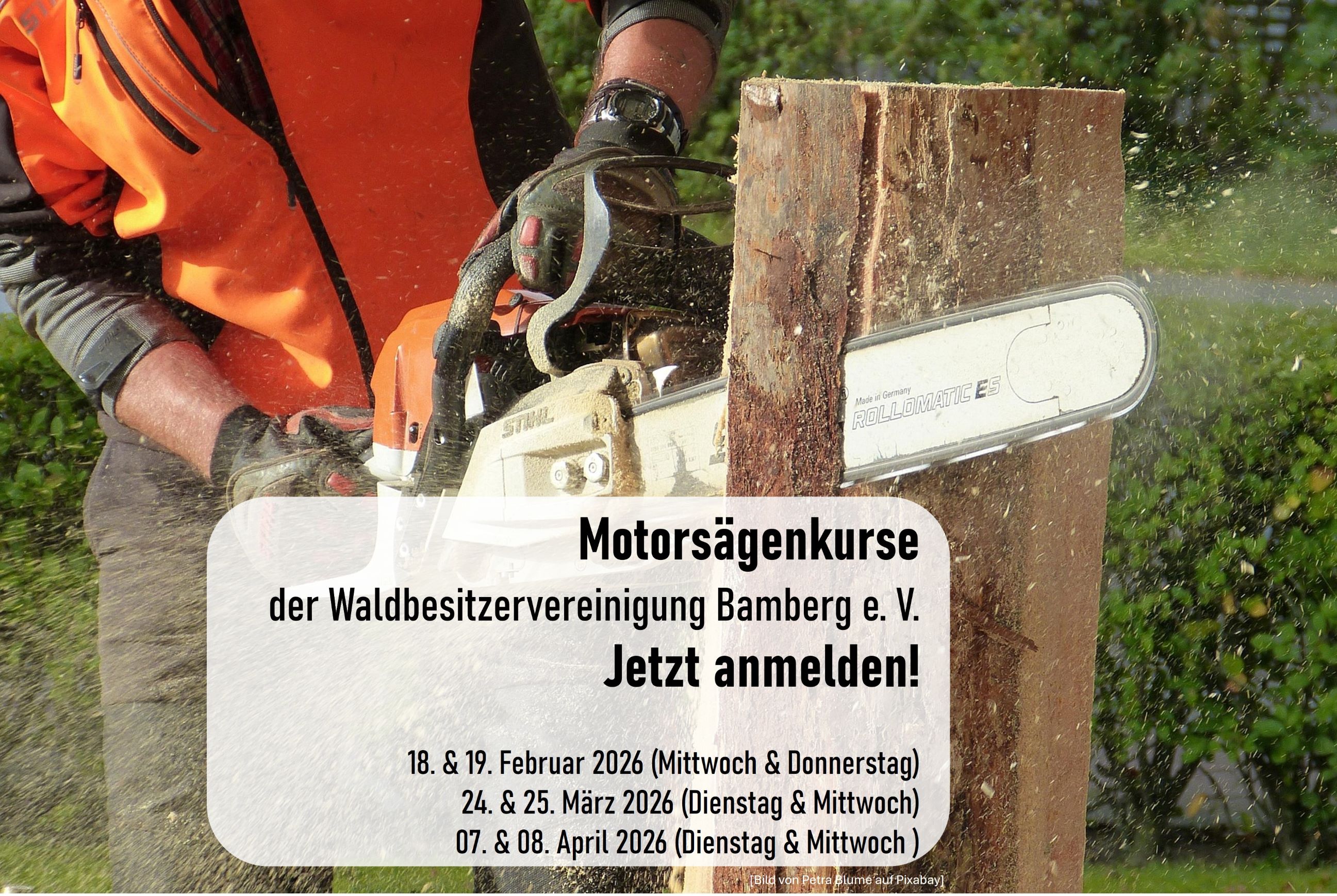 Motorsägenkurs Q1 2026