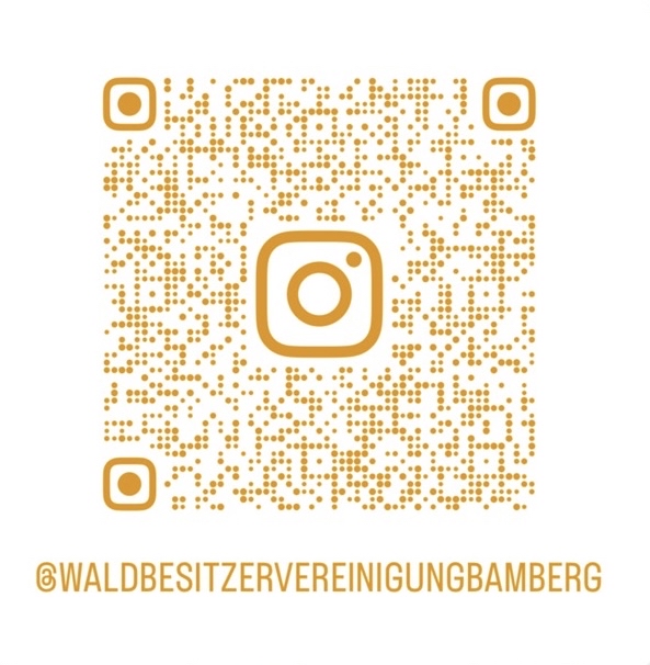 QR Code Instagram